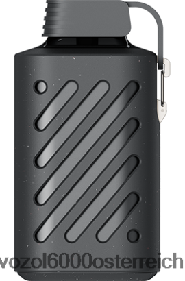 VOZOL Geschmacksrichtungen - VOZOL GEAR 10000 Zedernbeeren FN2R286