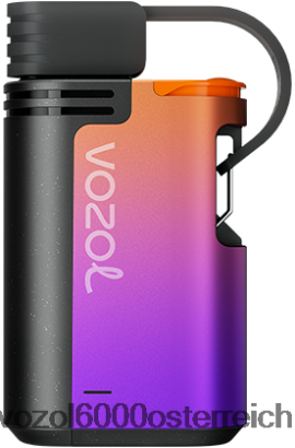 VOZOL Einweg Vape - VOZOL GEAR 4000c/6000 Traubeneis FN2R325