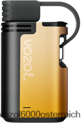 VOZOL Vape Geschmäcker - VOZOL GEAR 4000c/6000 Mango-Passionsfrucht FN2R327