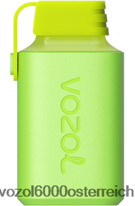 VOZOL E Zigarette - VOZOL GEAR 600 Menthol FN2R354