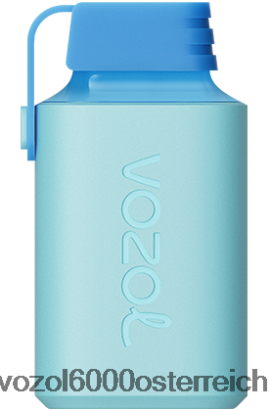 VOZOL Einweg Vape - VOZOL GEAR 600 Herr Blau FN2R355