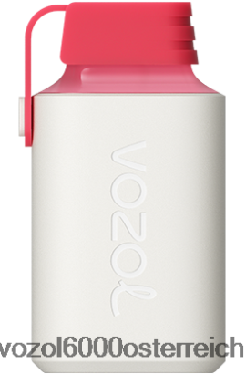 VOZOL Vape Geschmäcker - VOZOL GEAR 600 Erdbeereis FN2R357