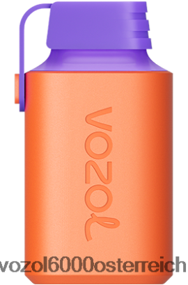 VOZOL Vape Geschmack - VOZOL GEAR 600 Cranberry-Traubeneis FN2R348