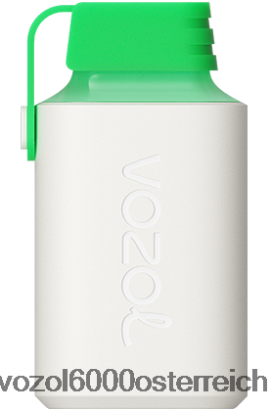 VOZOL Vape Österreich - VOZOL GEAR 600 Zitronenmojito FN2R352