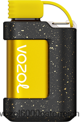 VOZOL E Zigarette - VOZOL GEAR 7000 Großmeistertabak FN2R334