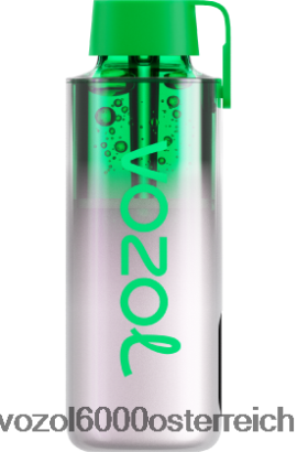 VOZOL E Zigarette - VOZOL NEON 10000 Traubeneis FN2R234