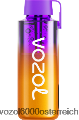 VOZOL Einweg Vape - VOZOL NEON 10000 gemischte Beeren FN2R235