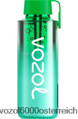 VOZOL Vape Kaufen - VOZOL NEON 10000 Miami-Minze FN2R229