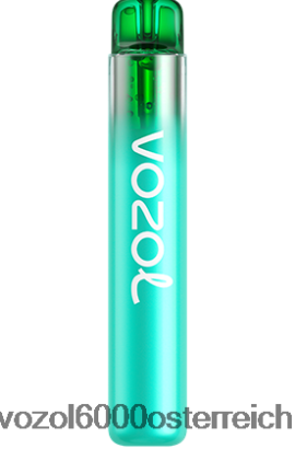 VOZOL Geschmacksrichtungen - VOZOL NEON 800 Heidelbeere, saure Himbeere FN2R246