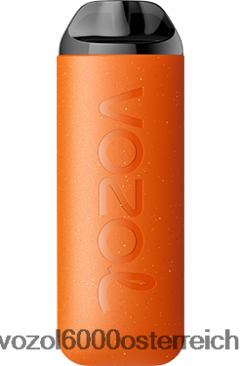 VOZOL Vape Geschmäcker - VOZOL SWITCH 1600 Kürbislatte FN2R217