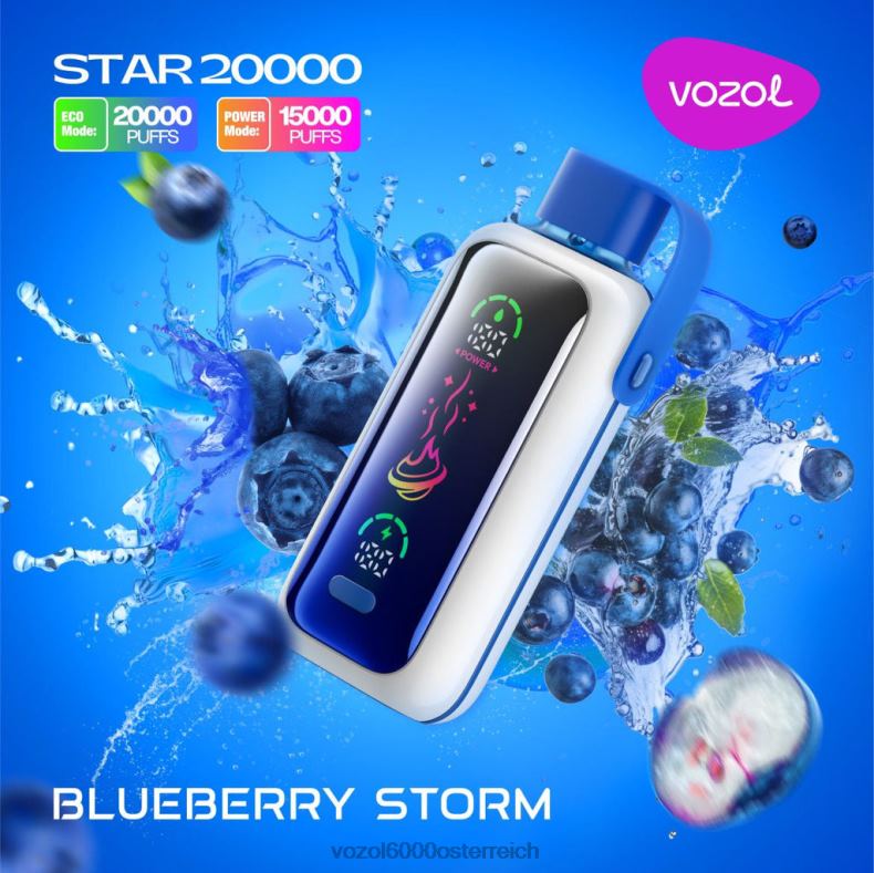 VOZOL Einweg Vape - Blaubeersturm VOZOL STAR 20000 22J485