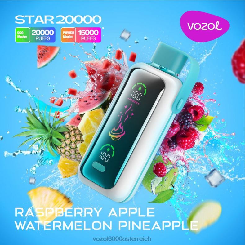 VOZOL Vape Geschmack - Himbeere, Apfel, Wassermelone, Ananas VOZOL STAR 20000 22J4818