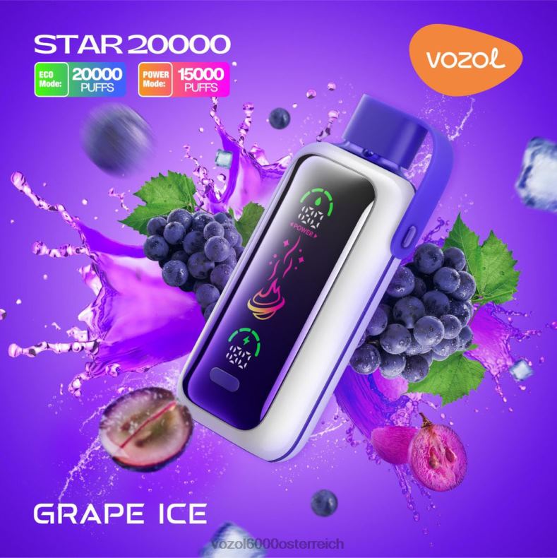 VOZOL Vape Kaufen - Traubeneis VOZOL STAR 20000 22J489