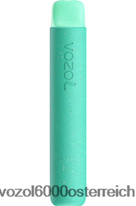 VOZOL Vape Österreich - VOZOL STAR 600 grüne Minze FN2R92