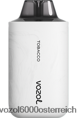 VOZOL Vape Geschmäcker - VOZOL STAR 6000/8000 v2 Tabak FN2R67