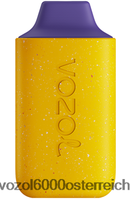 VOZOL Einweg Vape - VOZOL STAR 6000 Brombeer-Maracuja-Milch FN2R105