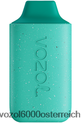 VOZOL Vape Preis - VOZOL STAR 6000 frische Minze FN2R110