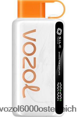 VOZOL E Zigarette - VOZOL STAR 9000/12000 Mexiko-Mango-Eis FN2R44