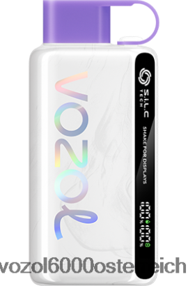 VOZOL E Zigarette - VOZOL STAR 9000/12000 Traubeneis FN2R24