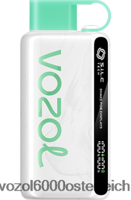 VOZOL E Zigarette - VOZOL STAR 9000/12000 Wassermelonen-Kaugummi FN2R34