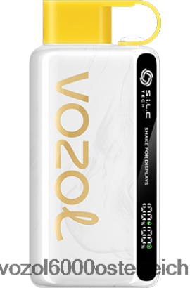VOZOL Einweg Vape - VOZOL STAR 9000/12000 Kiwi, Passionsfrucht, Guave FN2R25