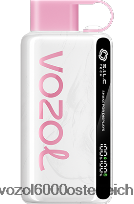 VOZOL Einweg Vape - VOZOL STAR 9000/12000 Pfirsicheis FN2R45