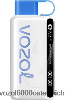 VOZOL Vape Preis - VOZOL STAR 9000/12000 vzbull FN2R50