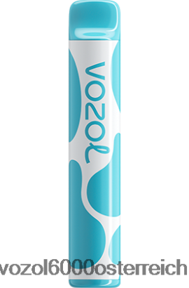 VOZOL Vape Geschmäcker - VOZOL JOYGO 600 Heidelbeere, saure Himbeere FN2R377