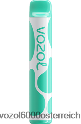 VOZOL Vape Geschmäcker - VOZOL JOYGO 600 Menthol FN2R387