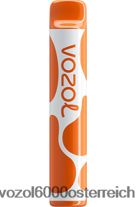 VOZOL Vape Kaufen - VOZOL JOYGO 600 Kaffee FN2R379