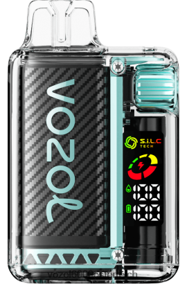 VOZOL E Zigarette - VOZOL VISTA 16000/20000 saures Apfeleis FN2R14