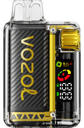 VOZOL Vape Geschmack - VOZOL VISTA 16000/20000 Mango-Eis FN2R8