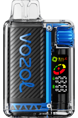 VOZOL Vape Geschmack - VOZOL VISTA 16000/20000 vzbull FN2R18