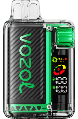 VOZOL Vape Preis - VOZOL VISTA 16000/20000 Wassermeloneneis FN2R20